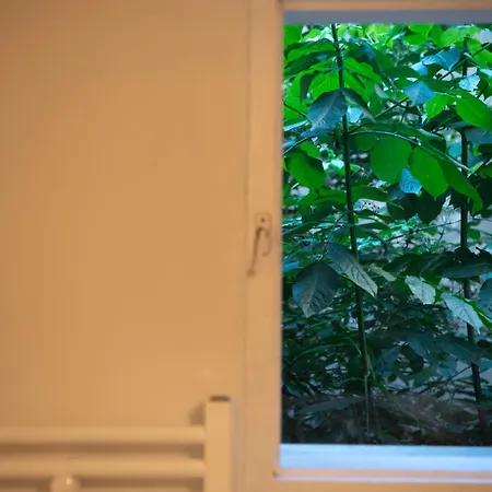 Yellow 클루지나포카