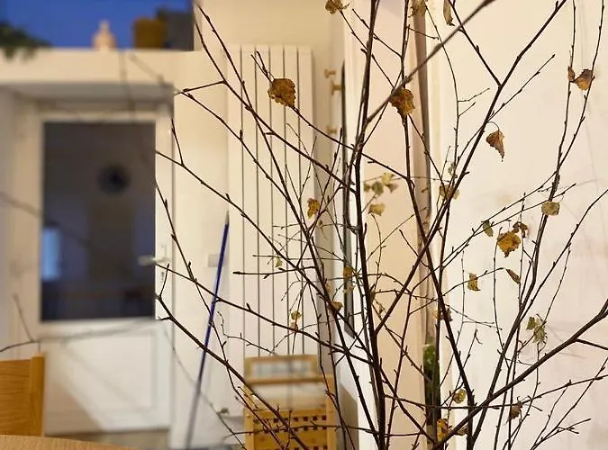 Yellow * Cluj-Napoca